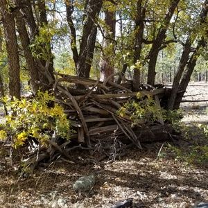 Meet your Posher, Larry